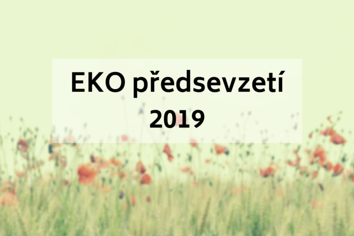 EKO předsevzetí 2019