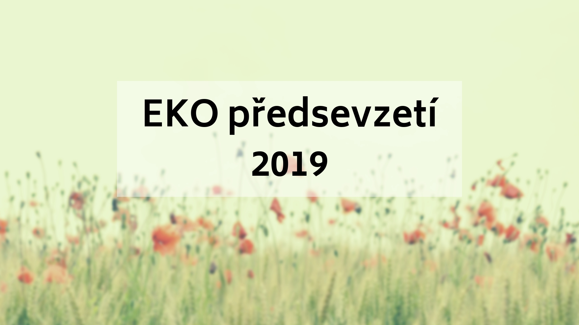 EKO předsevzetí 2019