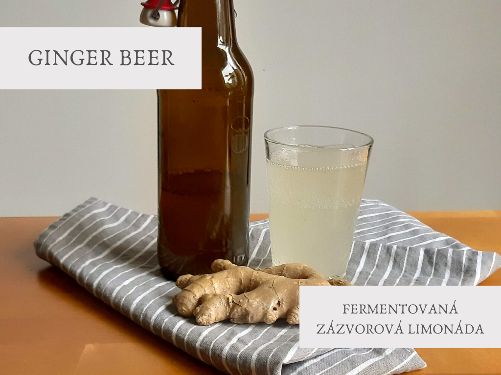 GINGER BEER - fermentovaná zázvorová limonáda