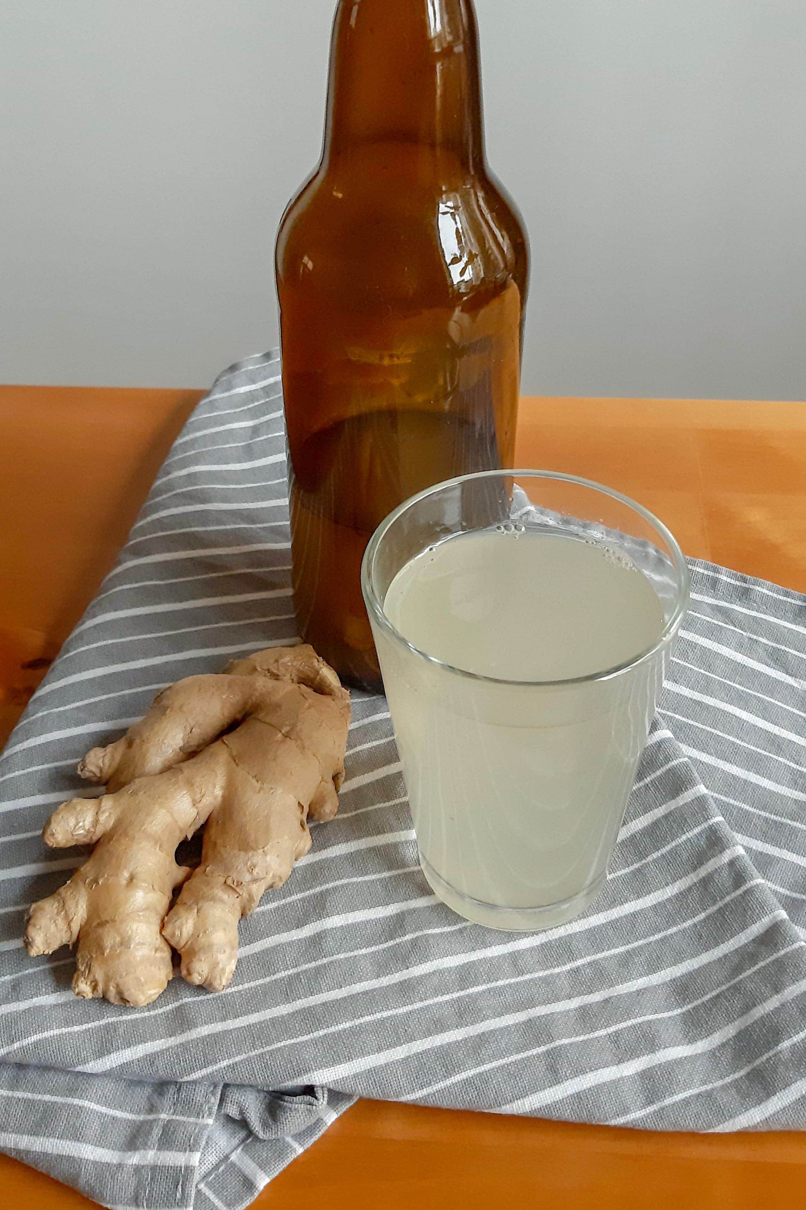 ginger beer - zdravý recept