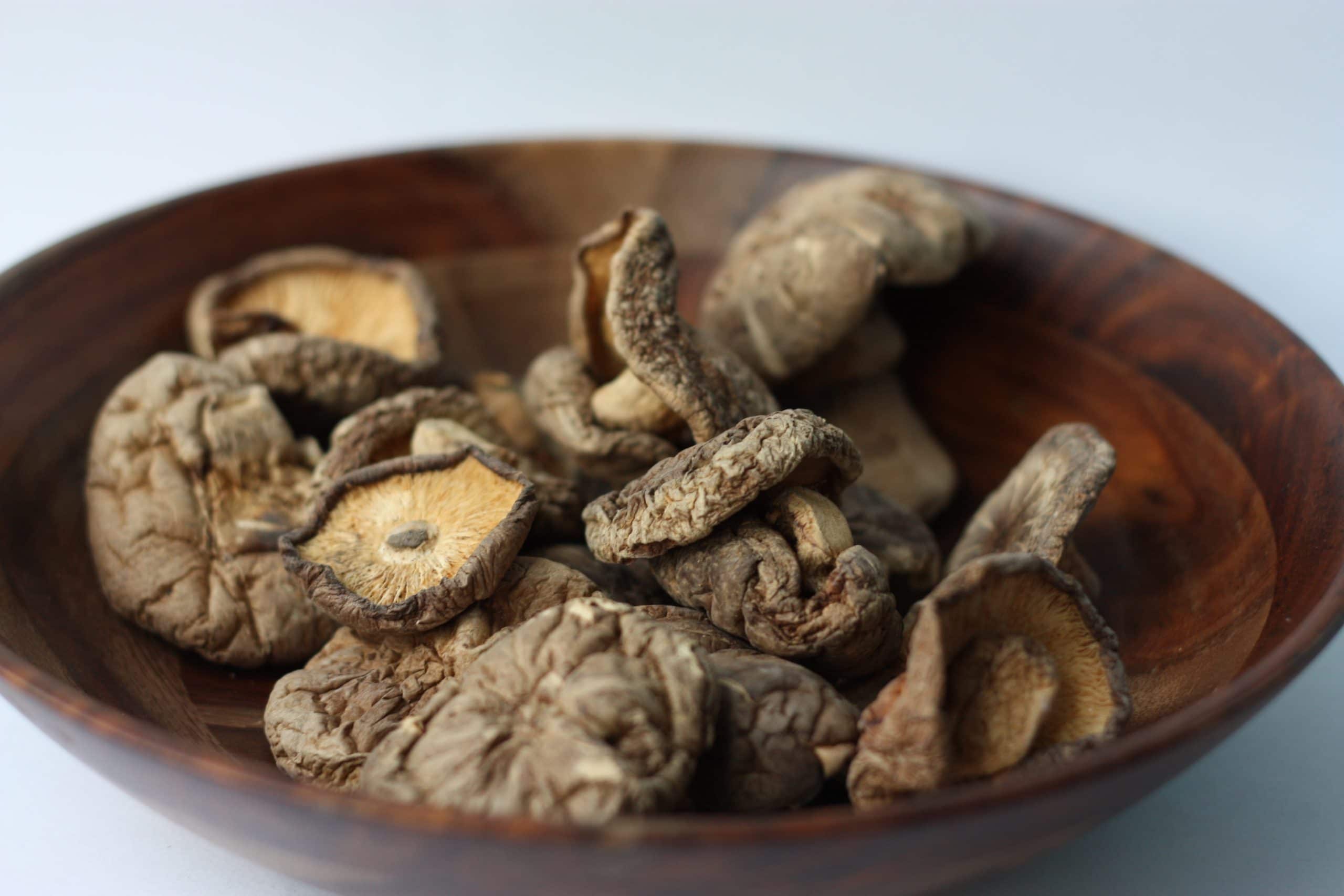 houby shiitake