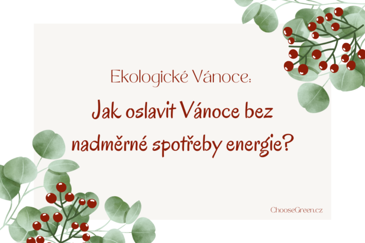 Jak oslavit Vánoce bez nadměrné spotřeby energie