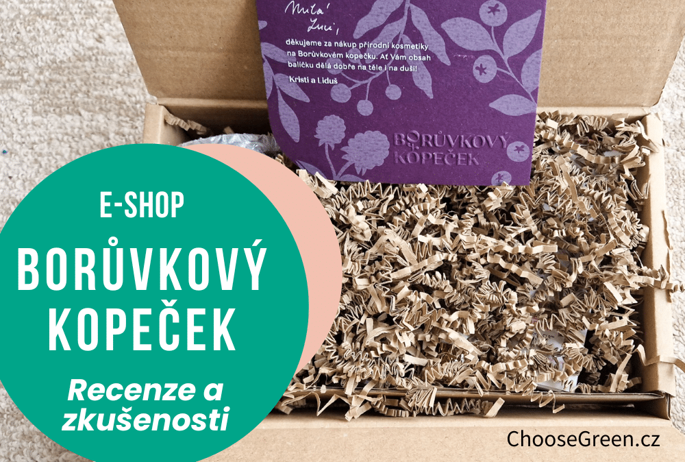 Borůvkový kopeček - Blueberry hill - recenze